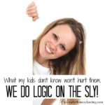 we do logic on the sly!