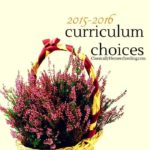 It's always fun to take a look at what other people are planning for the upcoming school year! Here are my curriculum choices for the 2015-2016 school year.