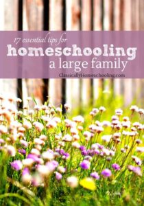 homeschooling a large family or multiple ages