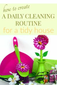 daily cleaning routine