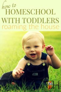 homeschool with toddlers
