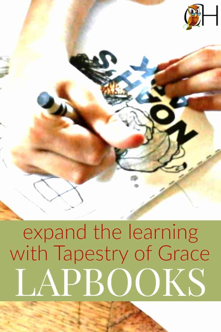 Expand the Learning with Tapestry of Grace Lapbooks