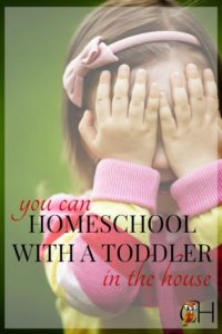homeschool with a toddler