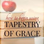 Conquer the Tapestry of Grace fog! Learn how to begin using Tapestry of Grace in your family with pointers, advice, and schedules.