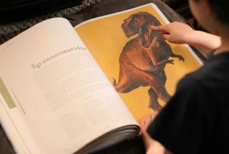 Study the Natural World with Beautiful Children’s Books