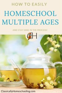 Easily homeschool multiple ages and have fun in the process All you need are these 7 simple tips from an experienced mom of 6 for a sane homeschool. These ideas work even when you're teaching multiple ages with a large age gap! #homeschool #homeschooling #multipleages #tips #ideas #largeagegap #fun #teaching