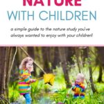 exploring nature with children curriculum
