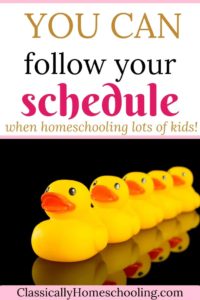 follow a schedule