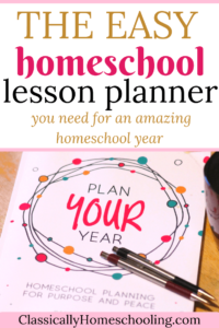 homeschool lesson planner that works